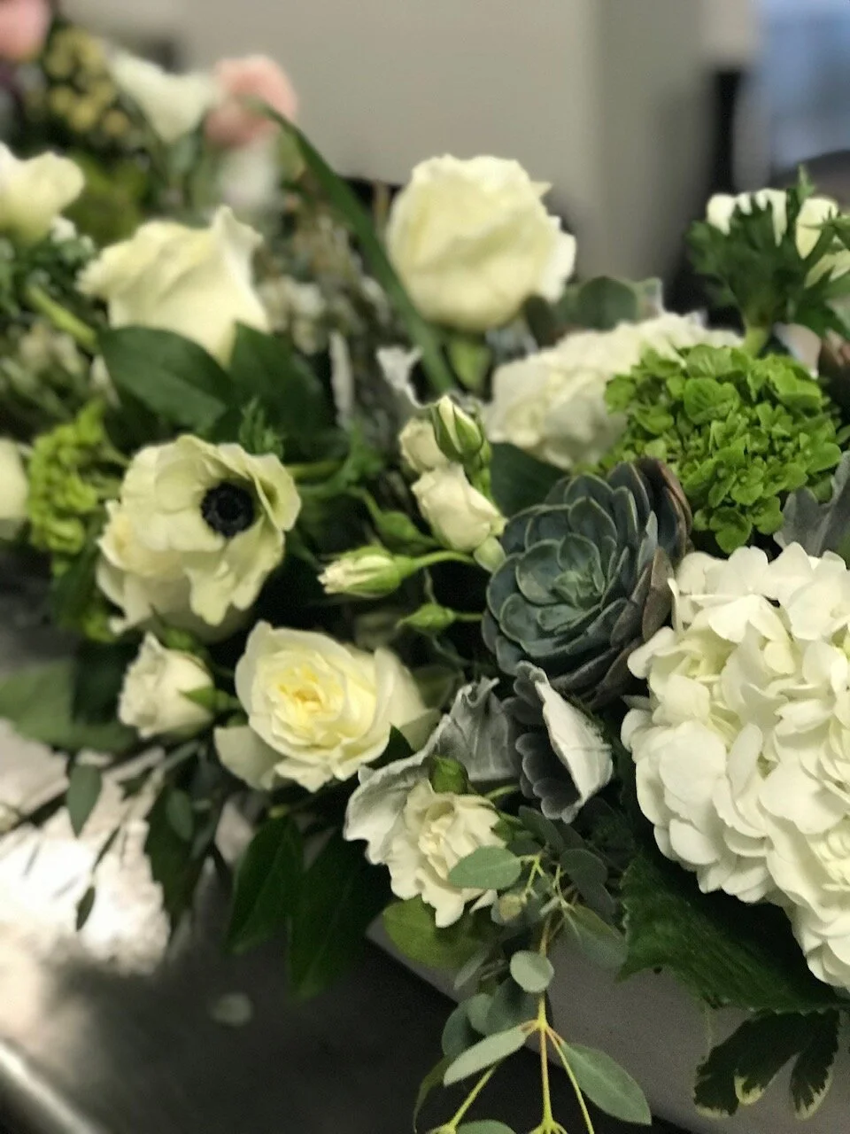 winter wonderland.jpeg