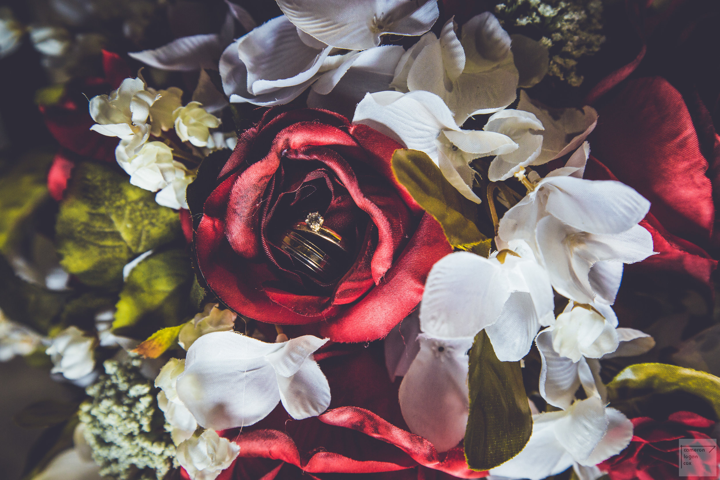 Wedding Photographer Photography Kansas City Gallery Missouri Photos Online Discount Price Two Photographer Team Video wedding rings candids documentarian poses posed (37 of 294).jpg