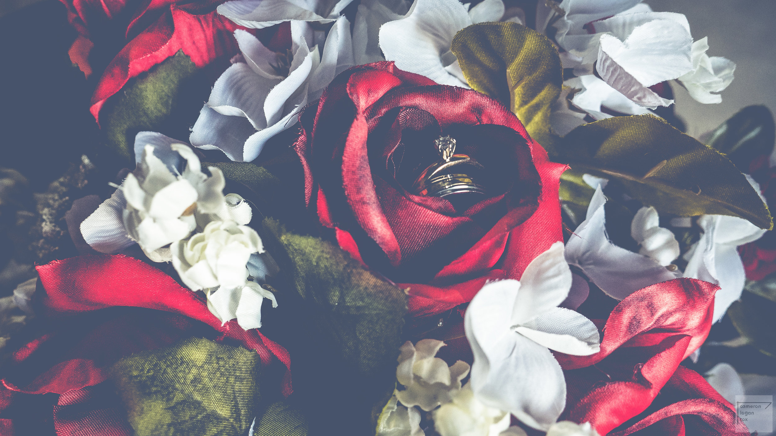 Wedding Photographer Photography Kansas City Gallery Missouri Photos Online Discount Price Two Photographer Team Video wedding rings candids documentarian poses posed (46 of 294).jpg