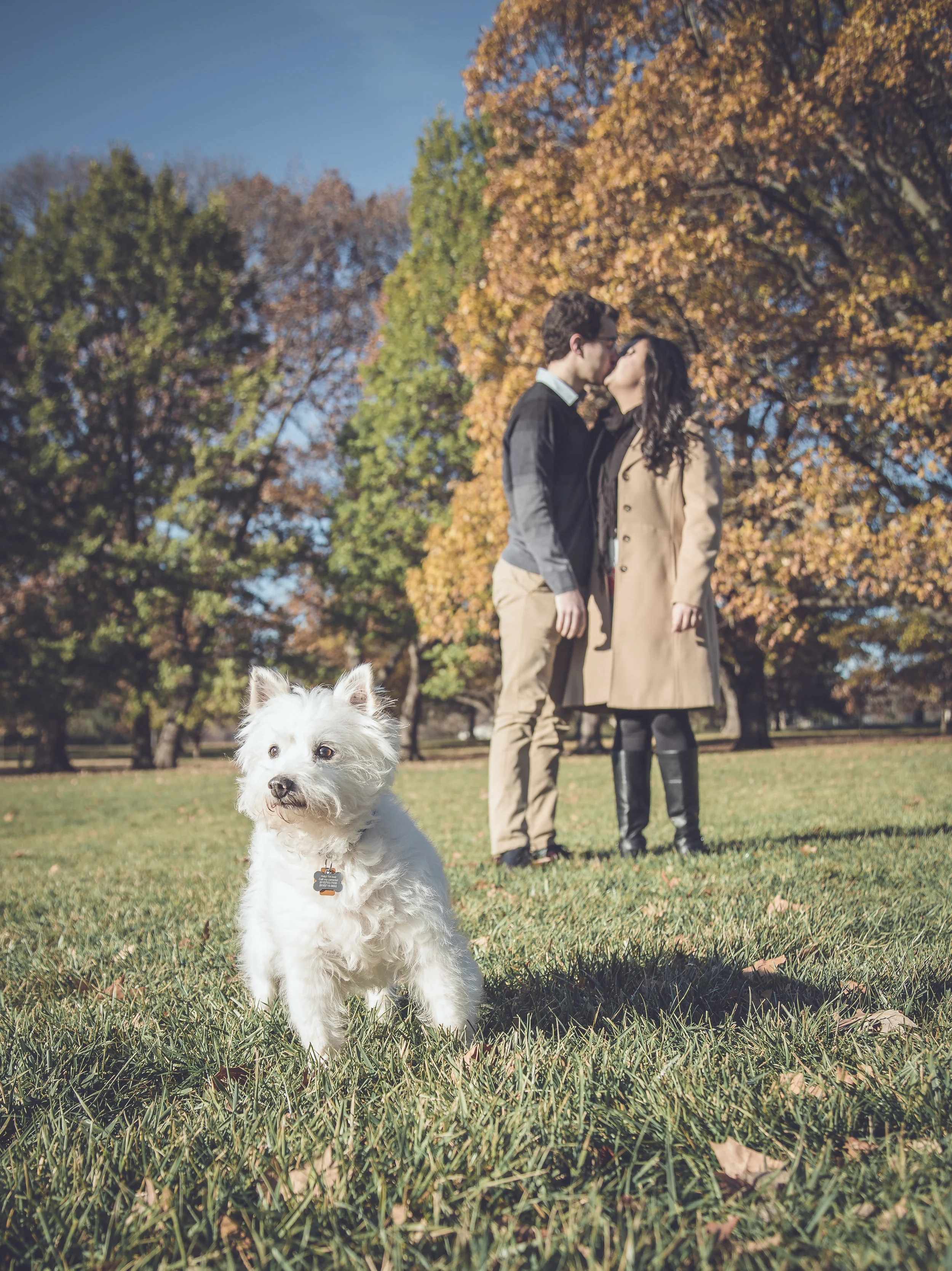 Anna and Aaron Engagement Session 2018 (18 of 49).jpg