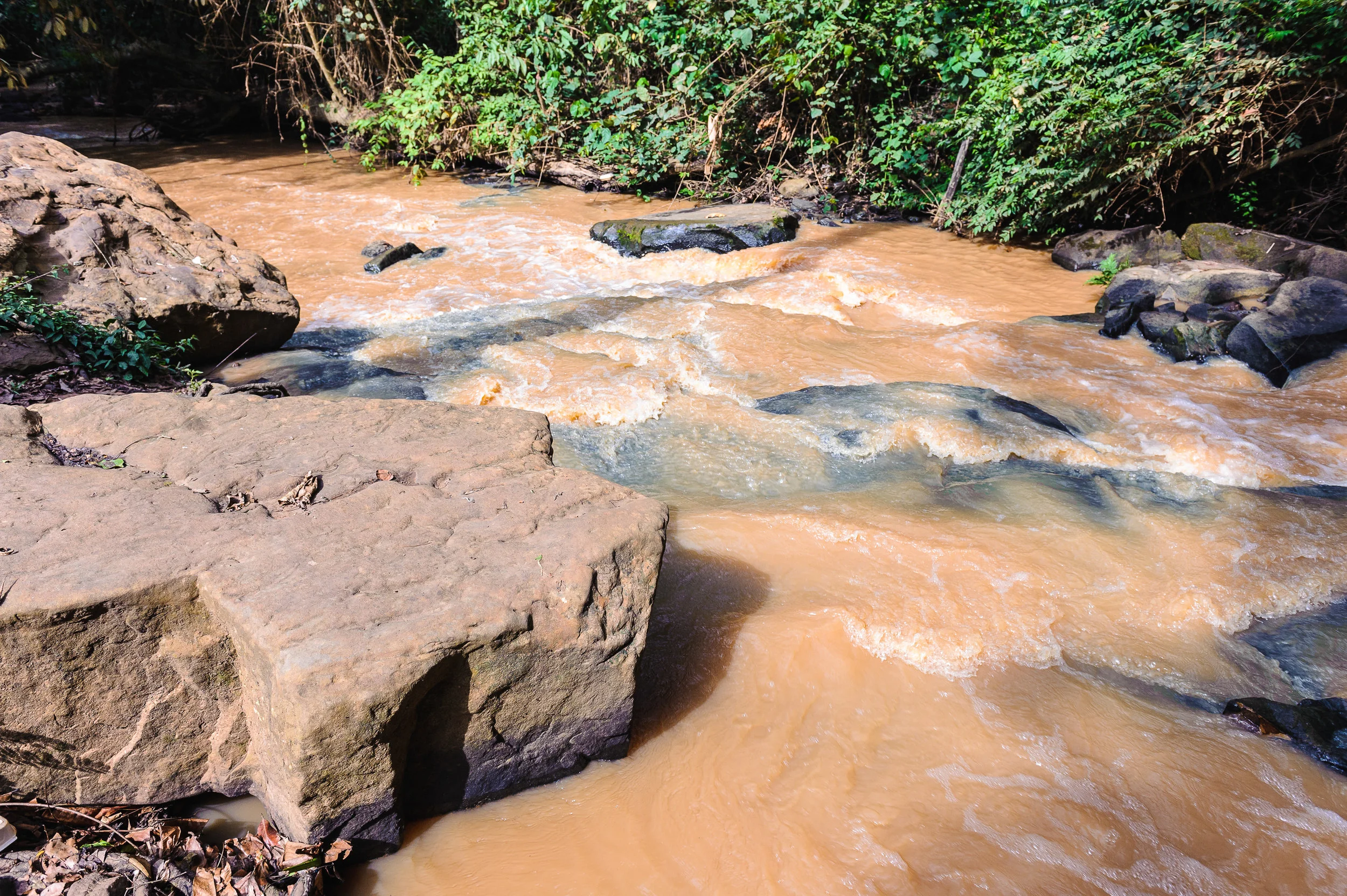 shutterstock_151302536 Onchocerca river.jpg