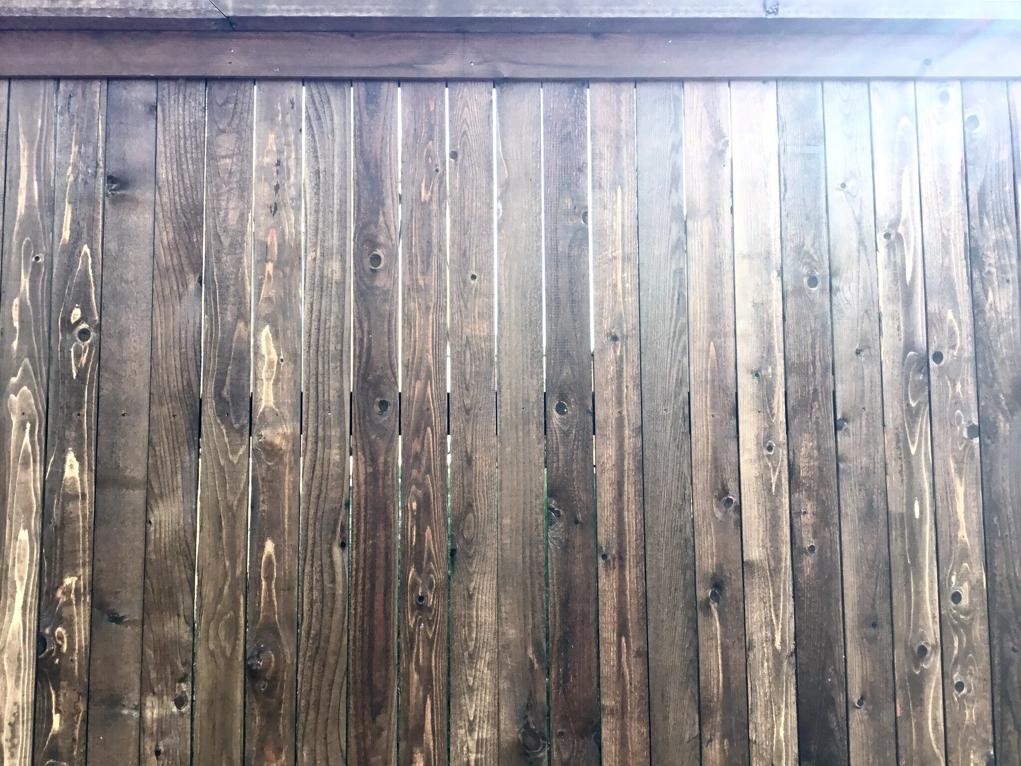 Fence.jpg