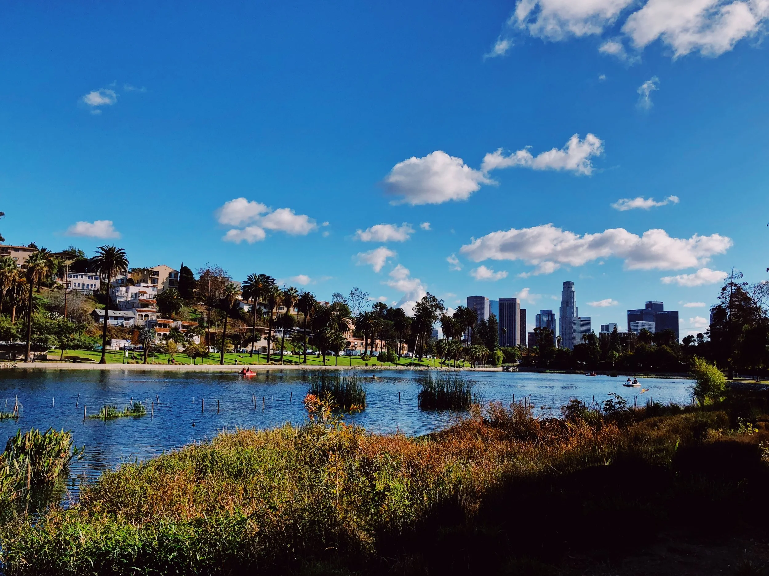 Homepage Banner Image.JPG