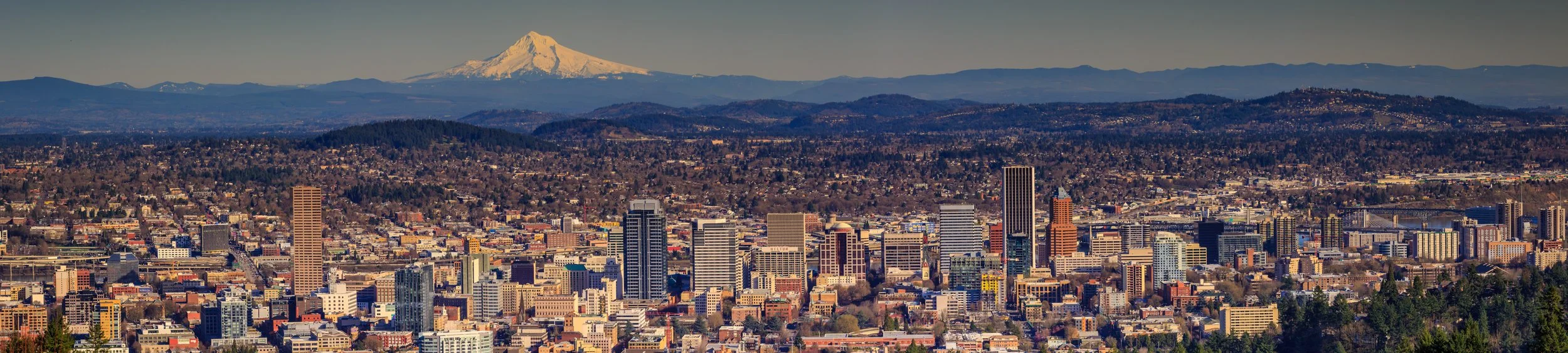 AdobeStock_163084209 - Copy2.jpeg