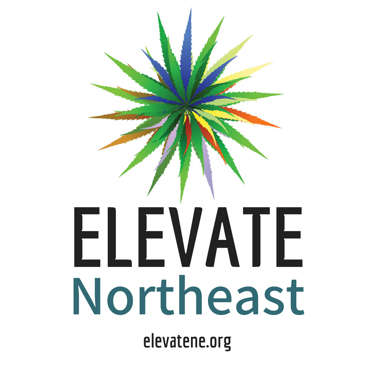 ELEVATE Stickers.png