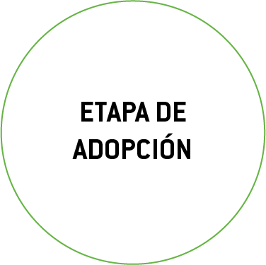 Asset 7.png