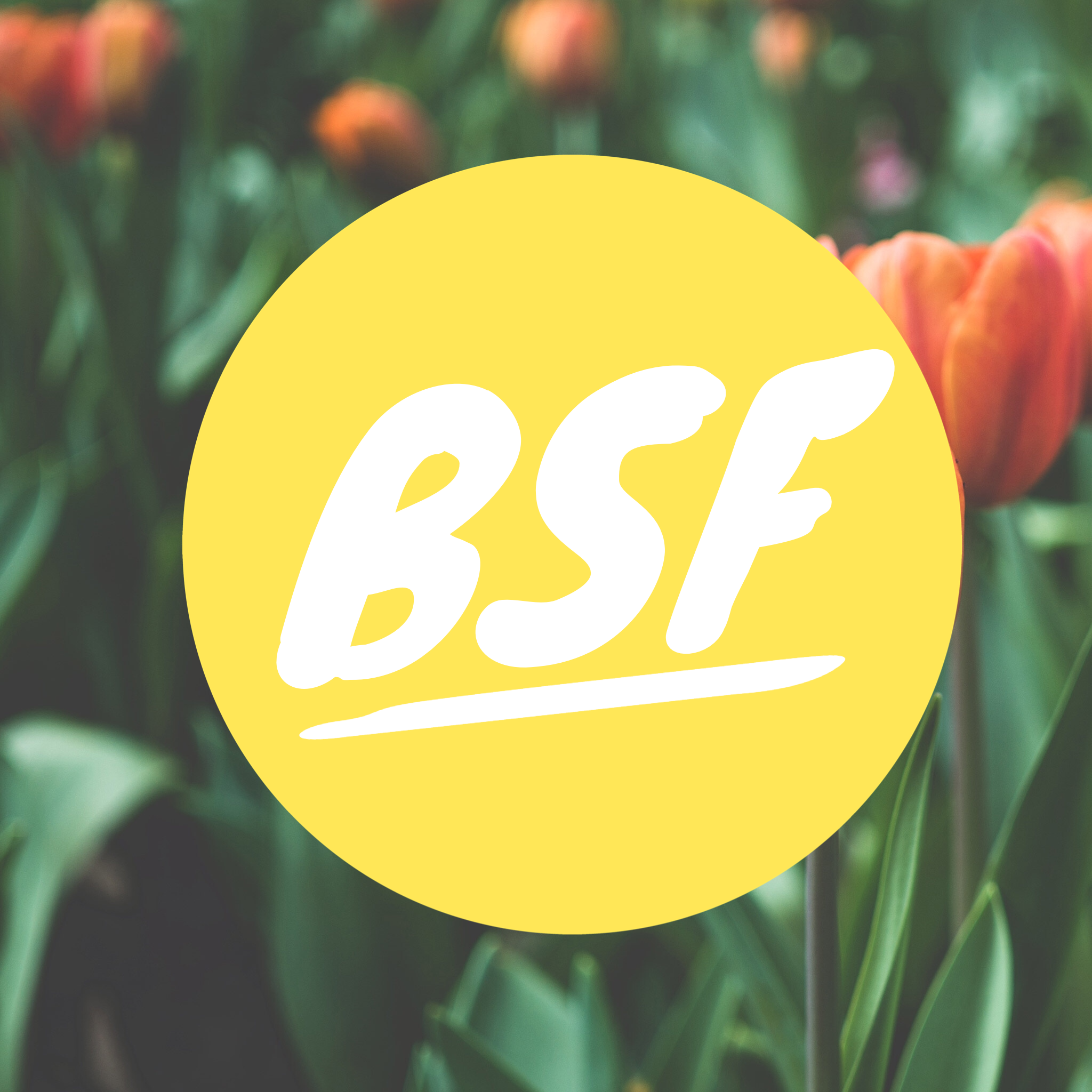 Bright Spot Friday!