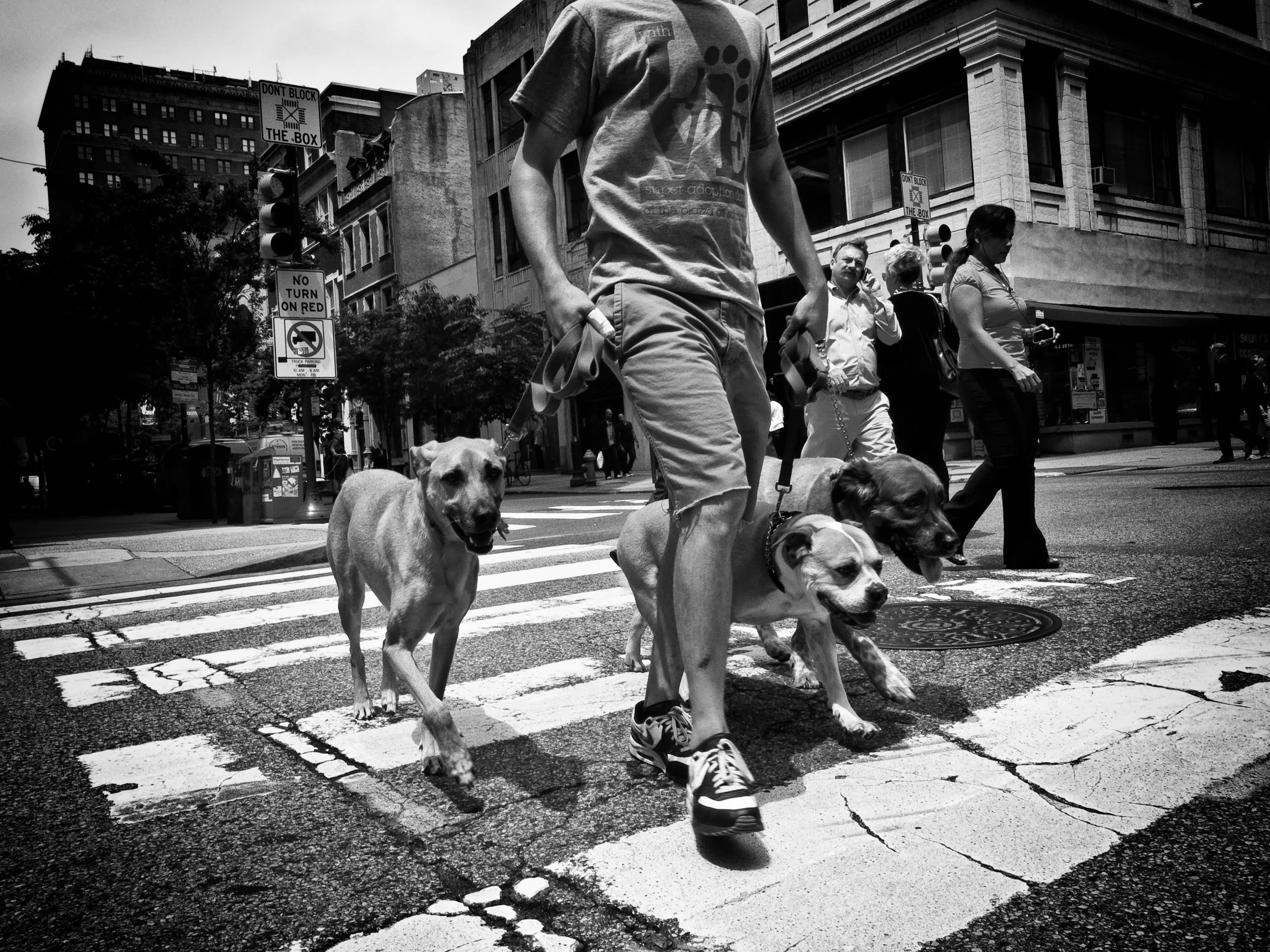 Photo By : David Oakill