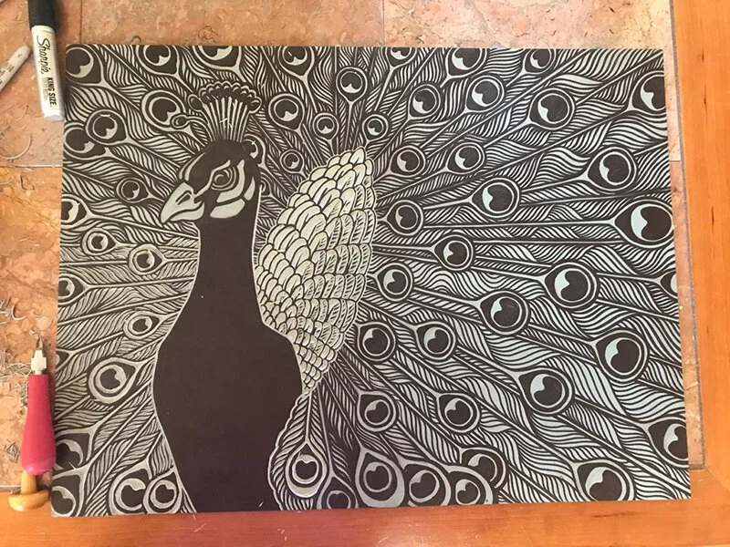peacockprogress1.jpg