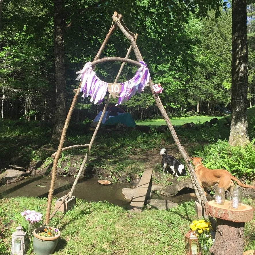 A rustic outdoor scene with a teepee-like structure made from branches, decorated with purple fabric and a '10' sign. There are two dogs near a small creek, with tents, trees, and greenery in the background. Flower arrangements and mason jars are placed on a tree stump and the ground.