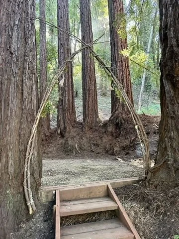 Wooden stairs leading to a circular arched doorway in a forest, framed by trees and branches.