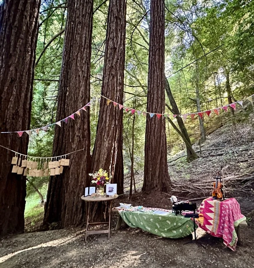 Outdoor scene in a wooded forest with decorative banners, a table with flowers, books, and photos, a second table with a colorful cloth, a violin on a stand, and a small stereo.