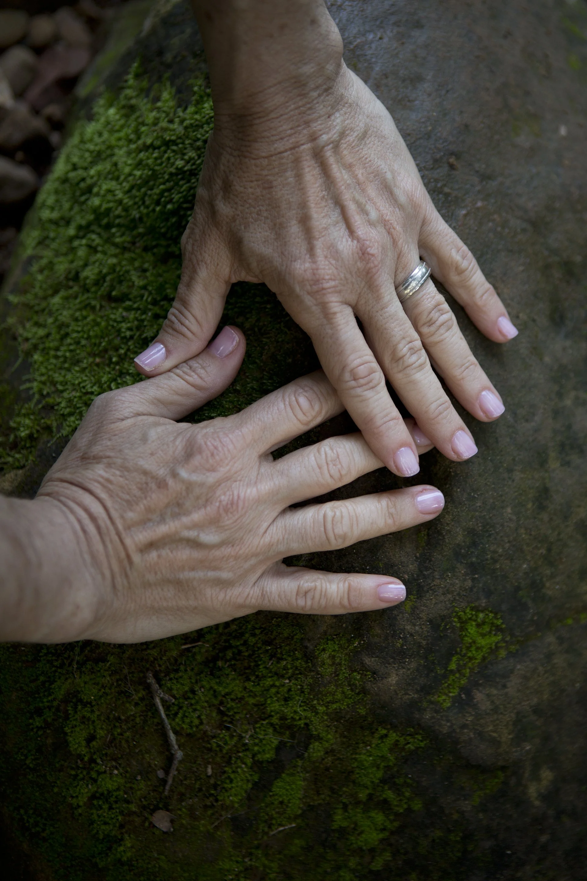 Two hands, one elderly and one younger, placed on a moss-covered rock.