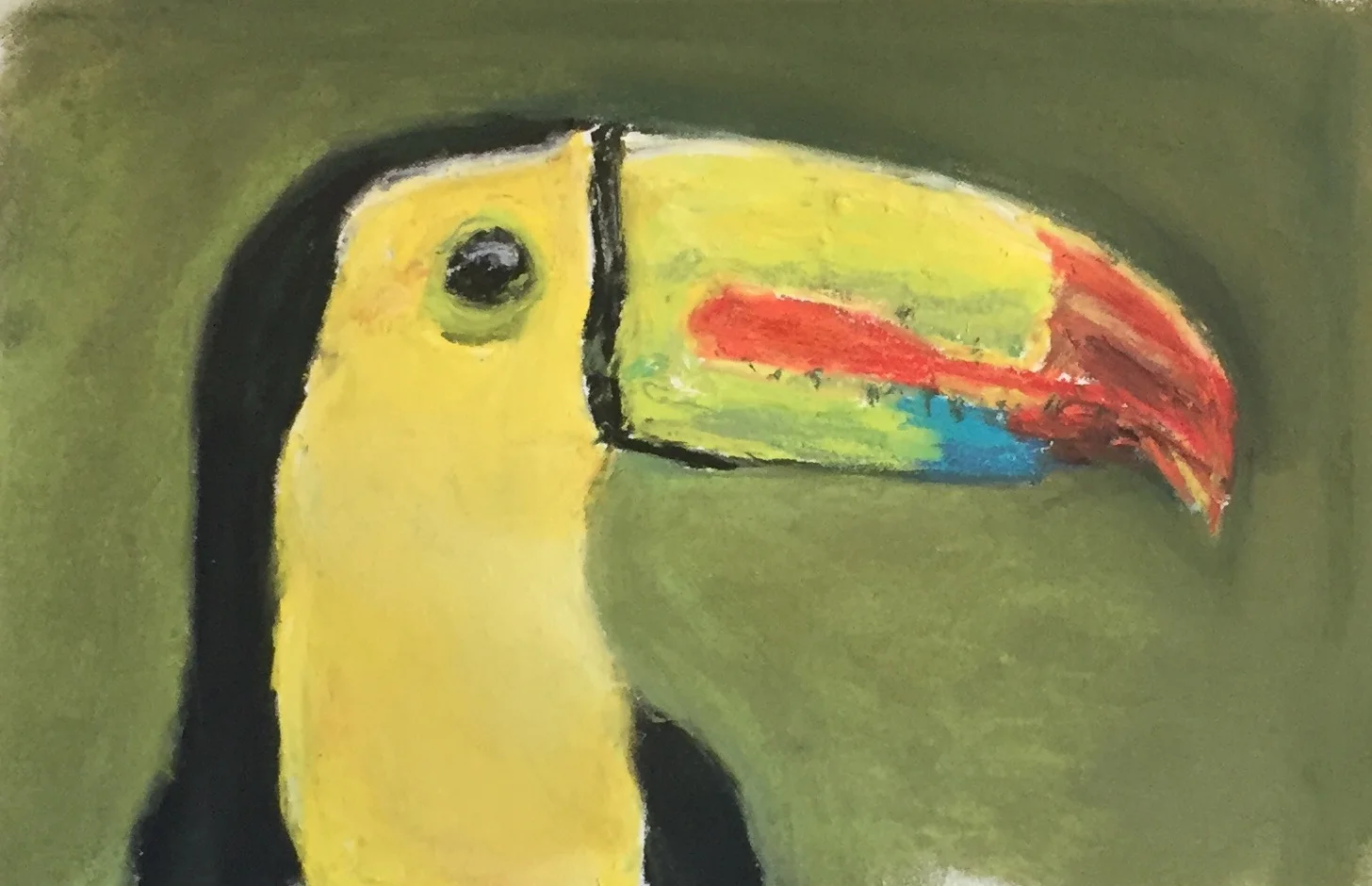 Toucan copy.jpeg