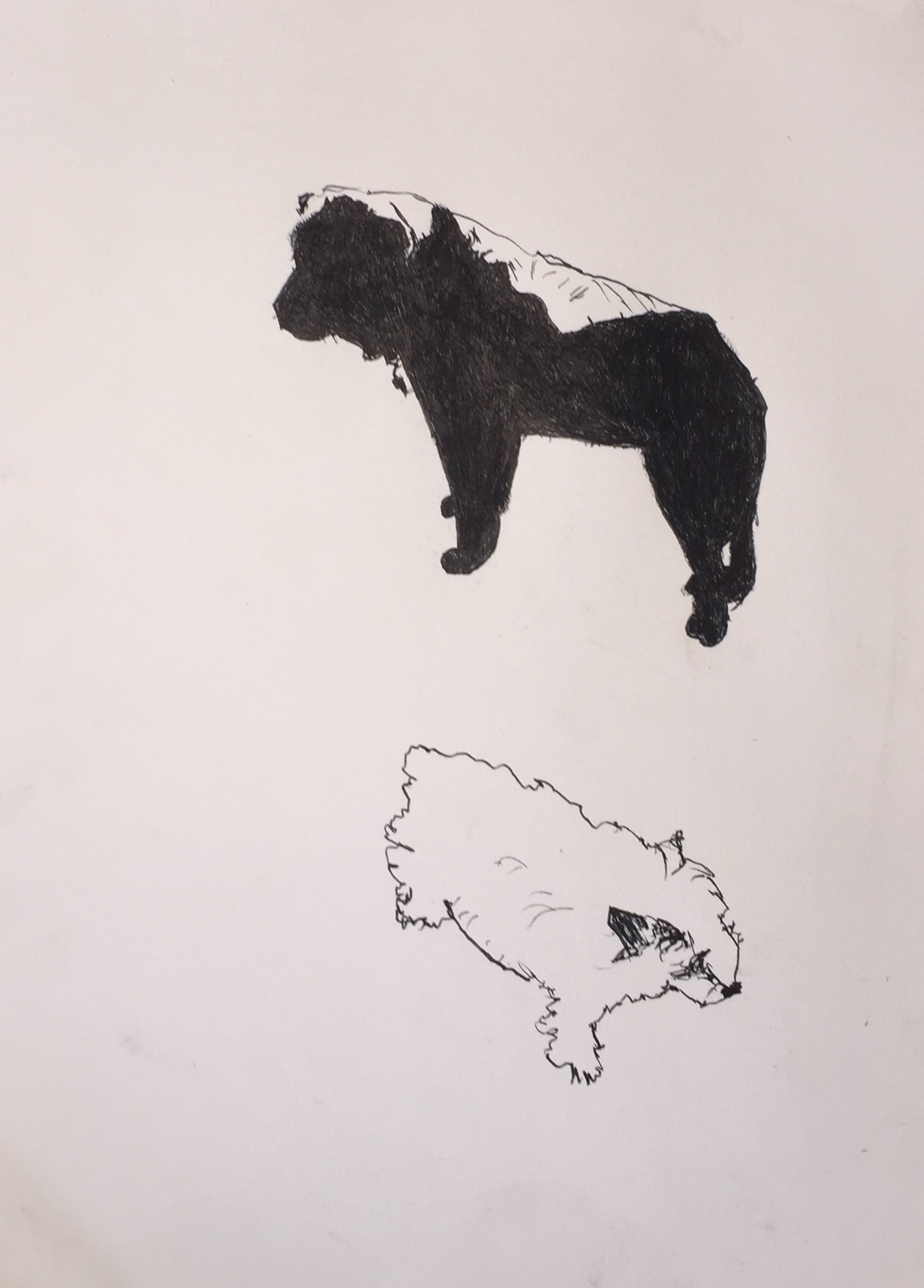 Big dog little dog, pen&ink and charcoal, 7x9-1/2, $25