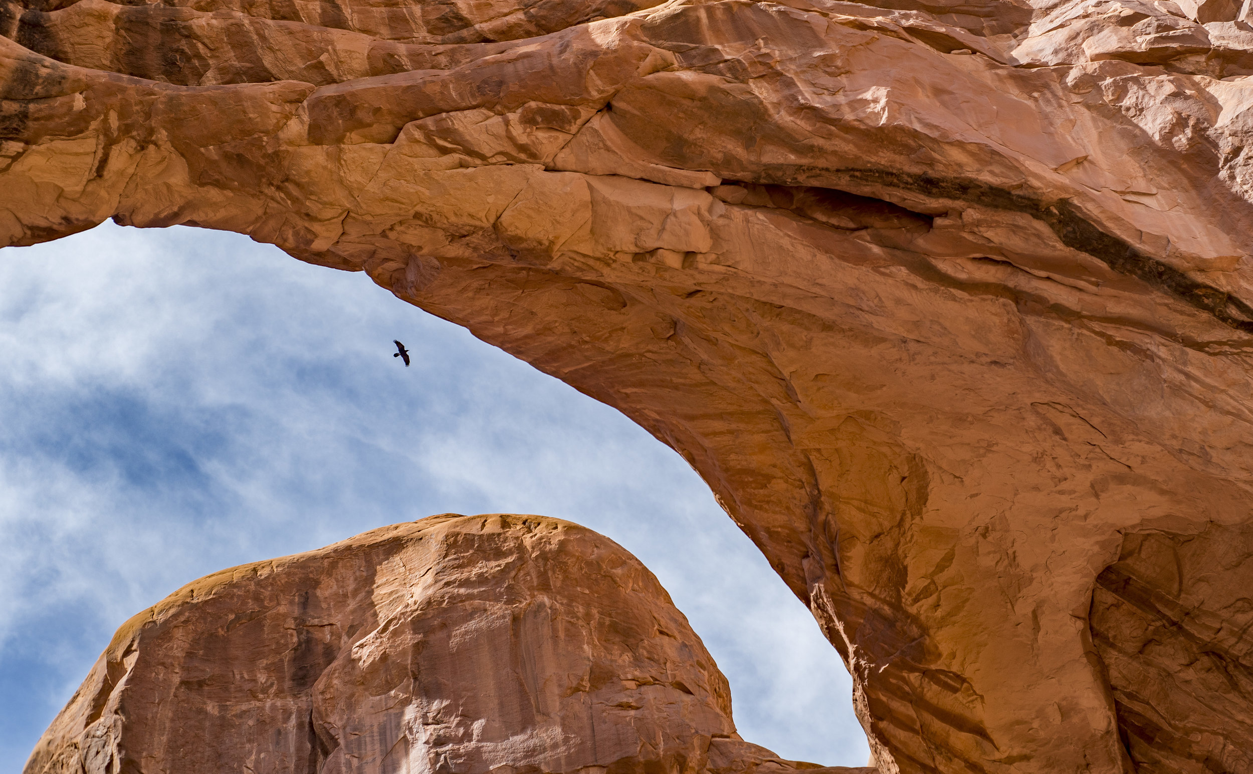 Double Arch Elder ©2006-2018 ShutterMeShort Photography