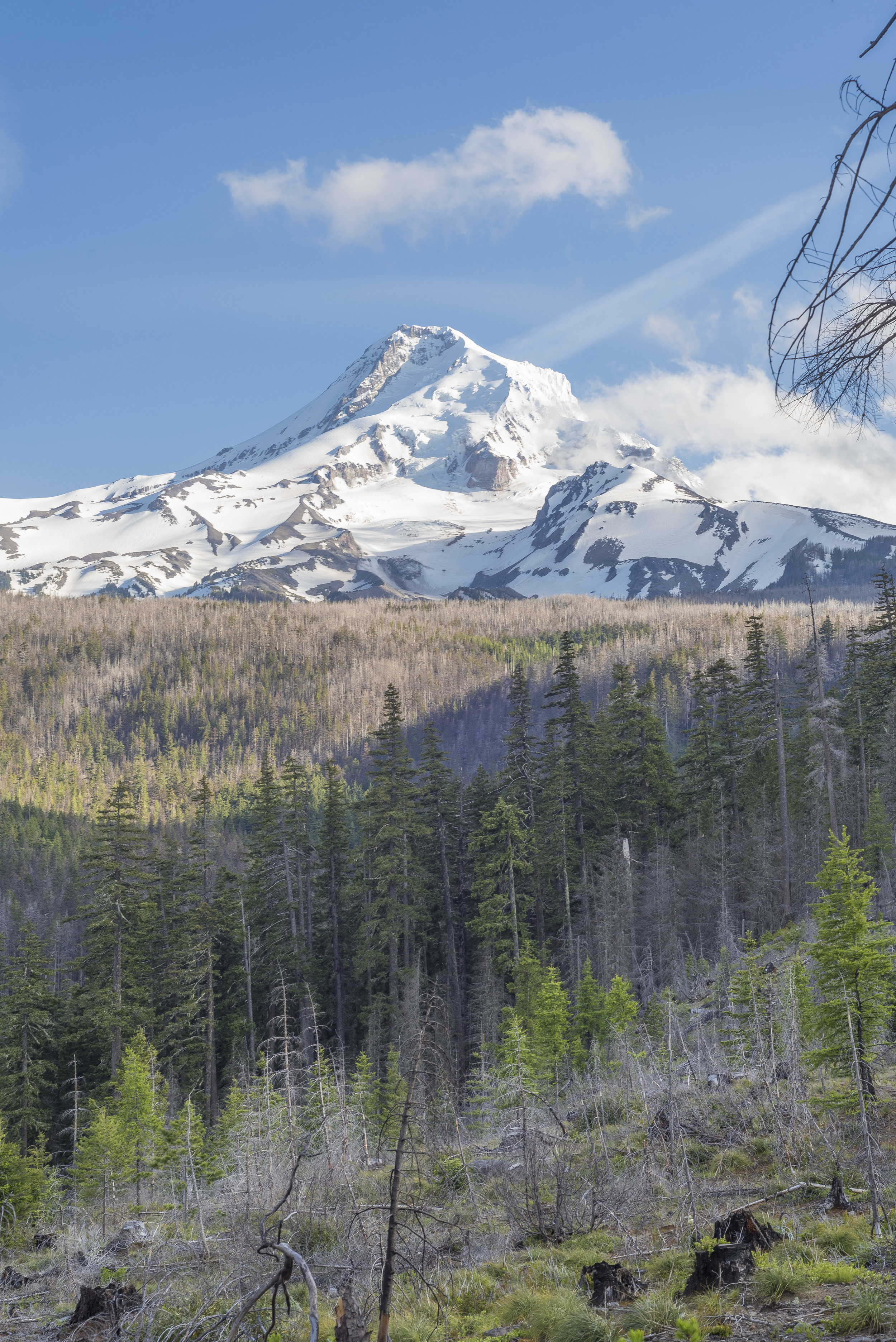 Mount Hood ©2006-2018 ShutterMeShort Photography