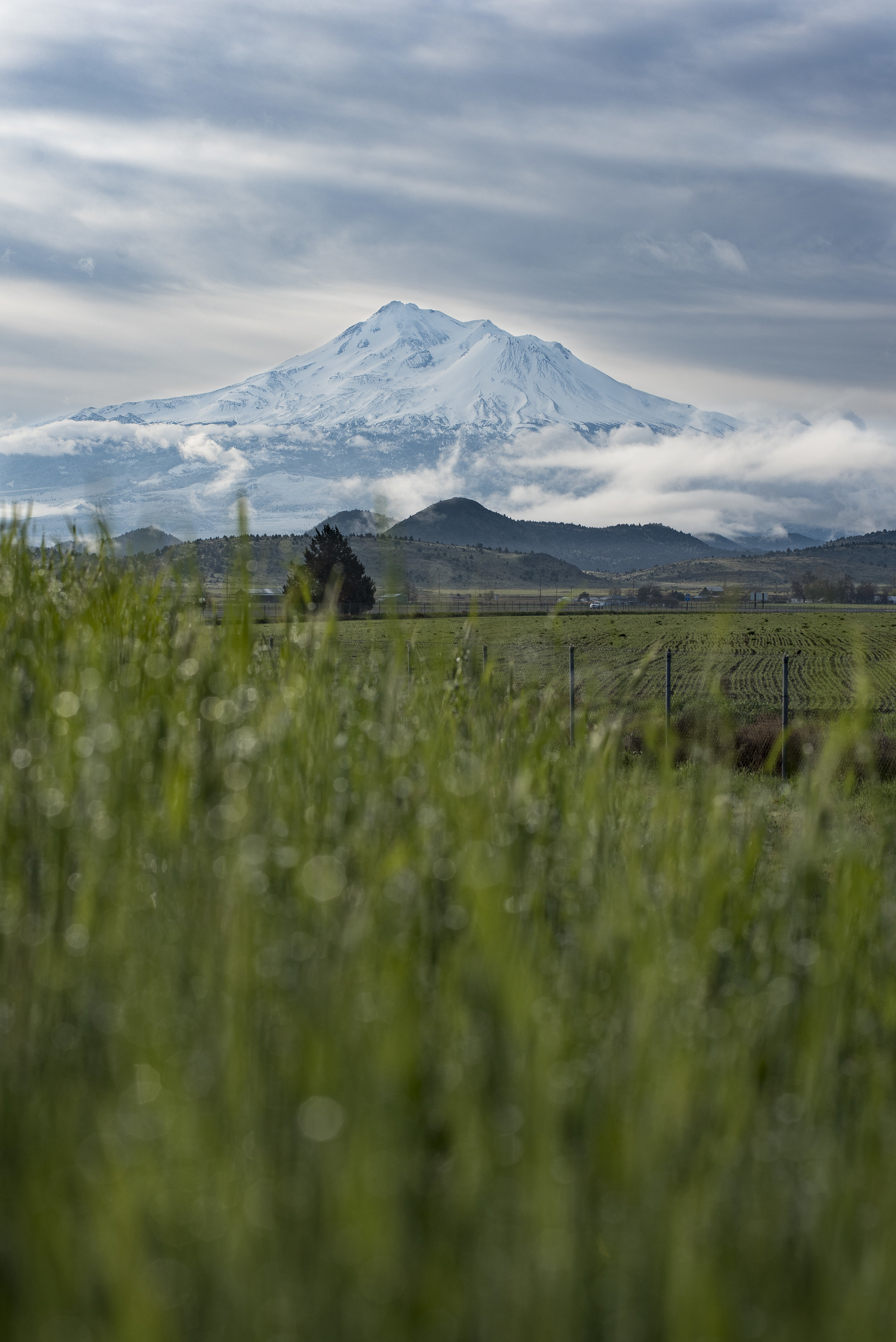 Mount Shasta ©2006-2018 ShutterMeShort Photography