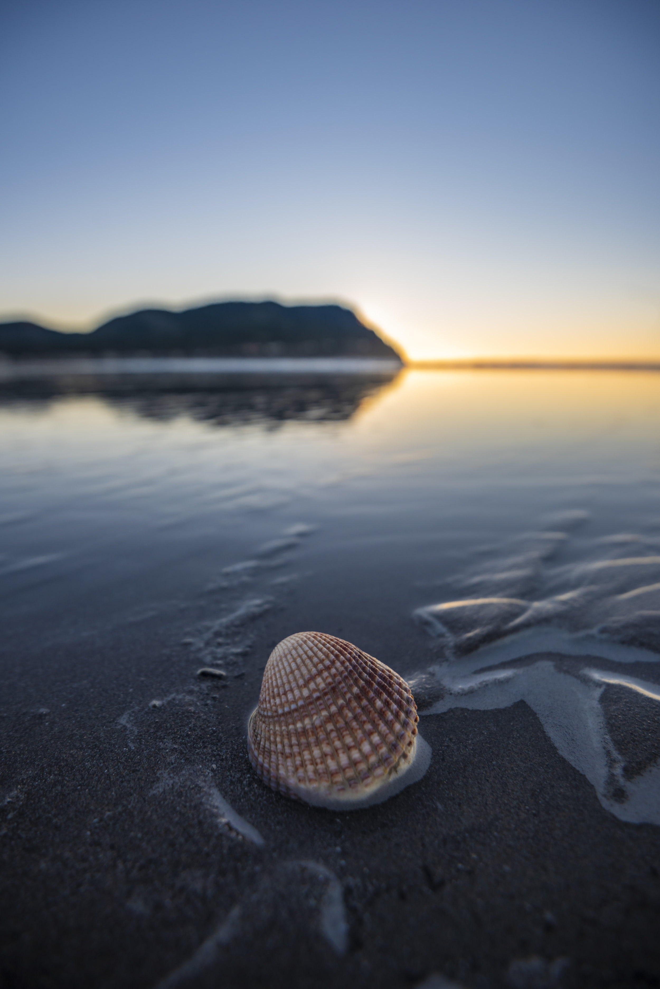 Seaside Sunset