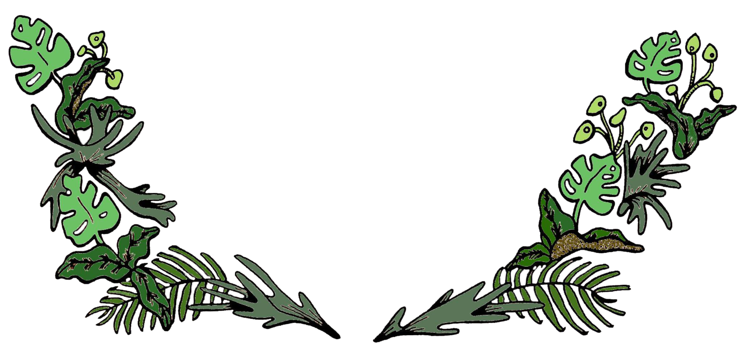 Kokedama Care — Urban Earth Nursery