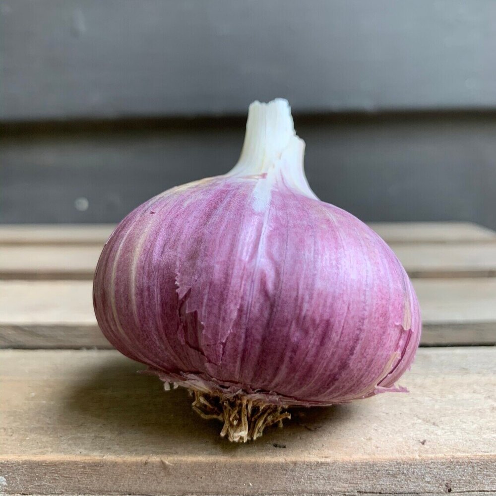 Russian+Red+Hardneck+Garlic+Seed.jpg