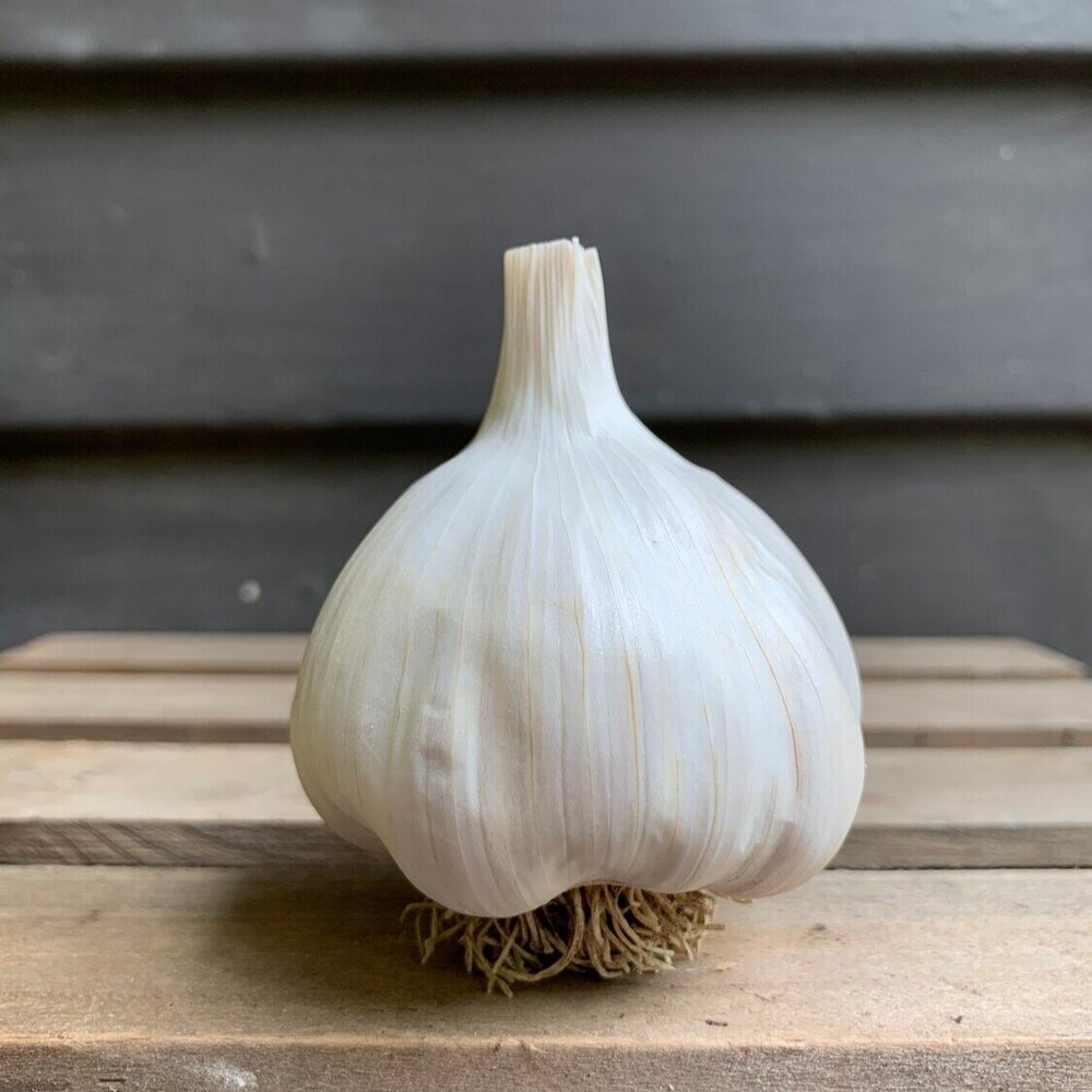 Nootka+Rose+Softneck+Garlic+Seed.jpg