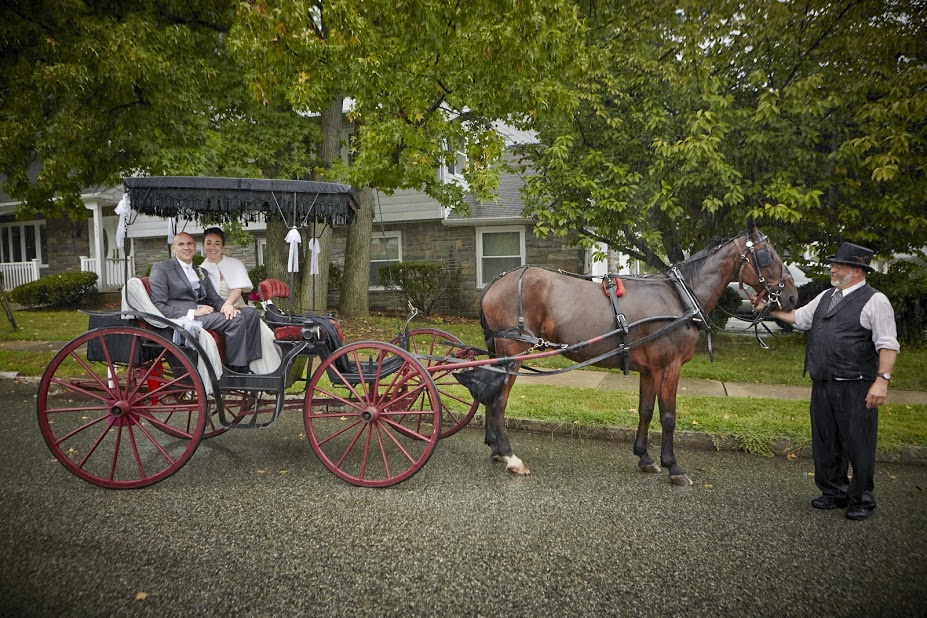 Sergio Wedding Horse carriage.jpg