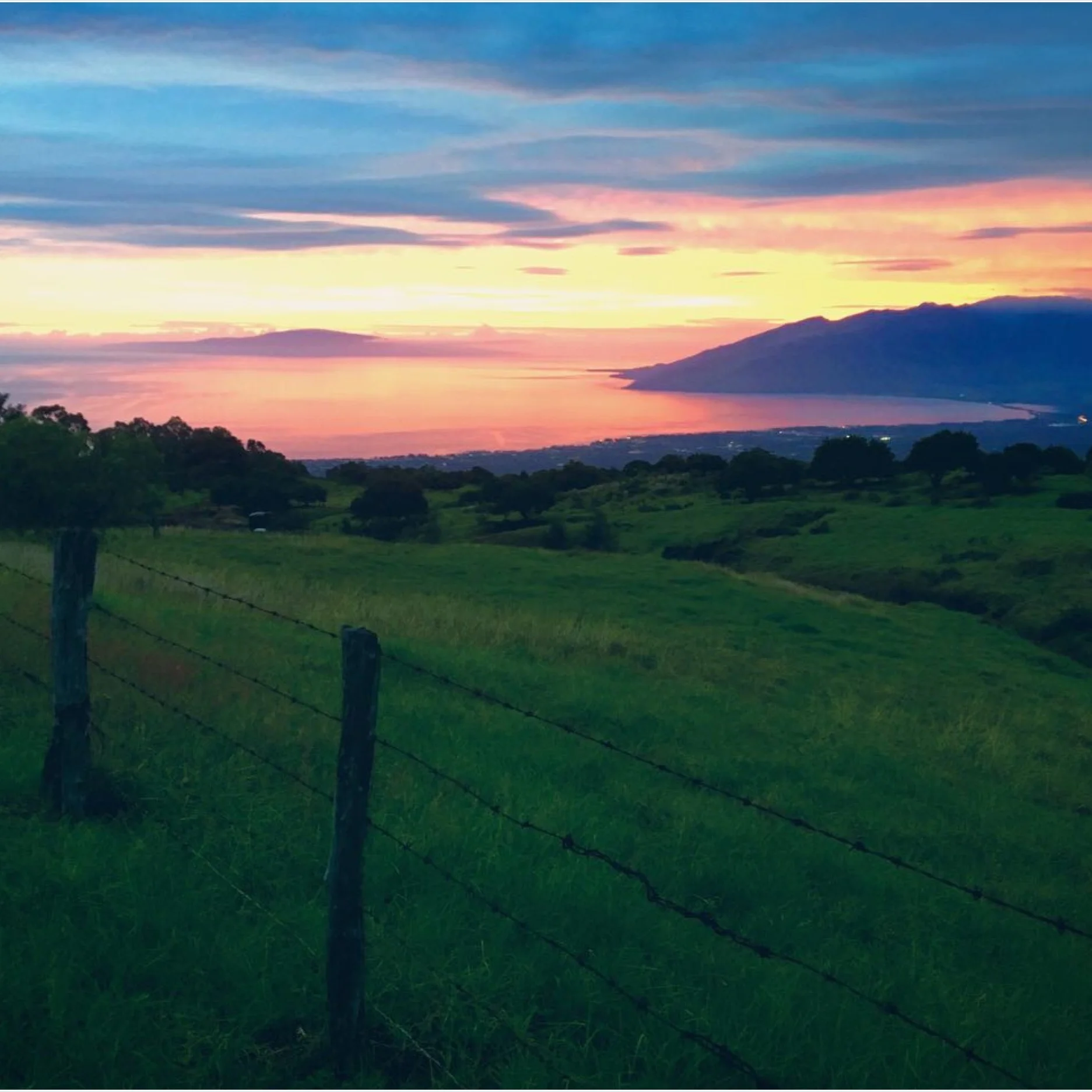 Upcountry Kula