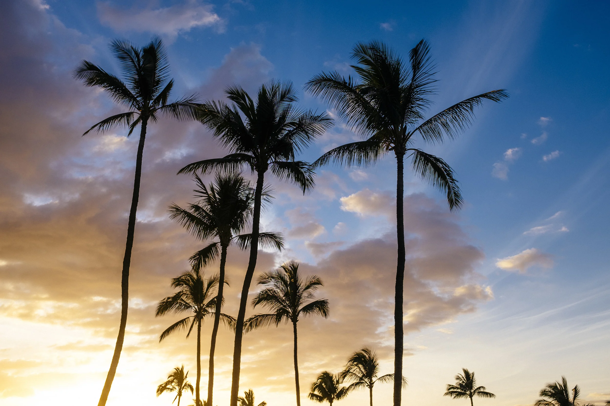 Relationships & Family