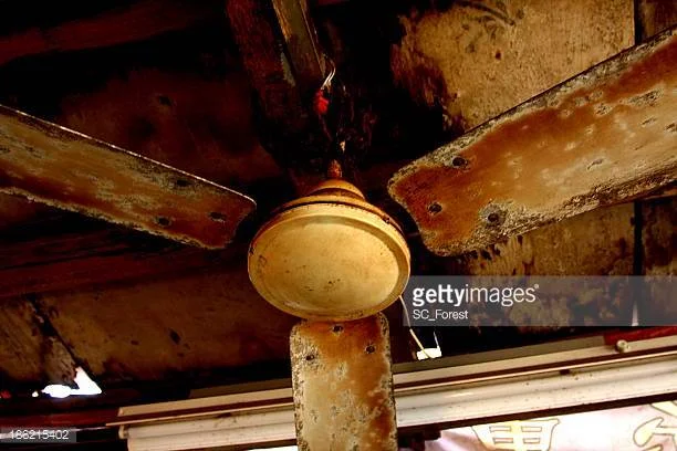 Photo by SC_Forest/iStock / Getty Images