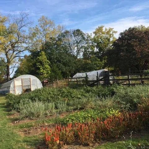 BluefieldFarm.jpg