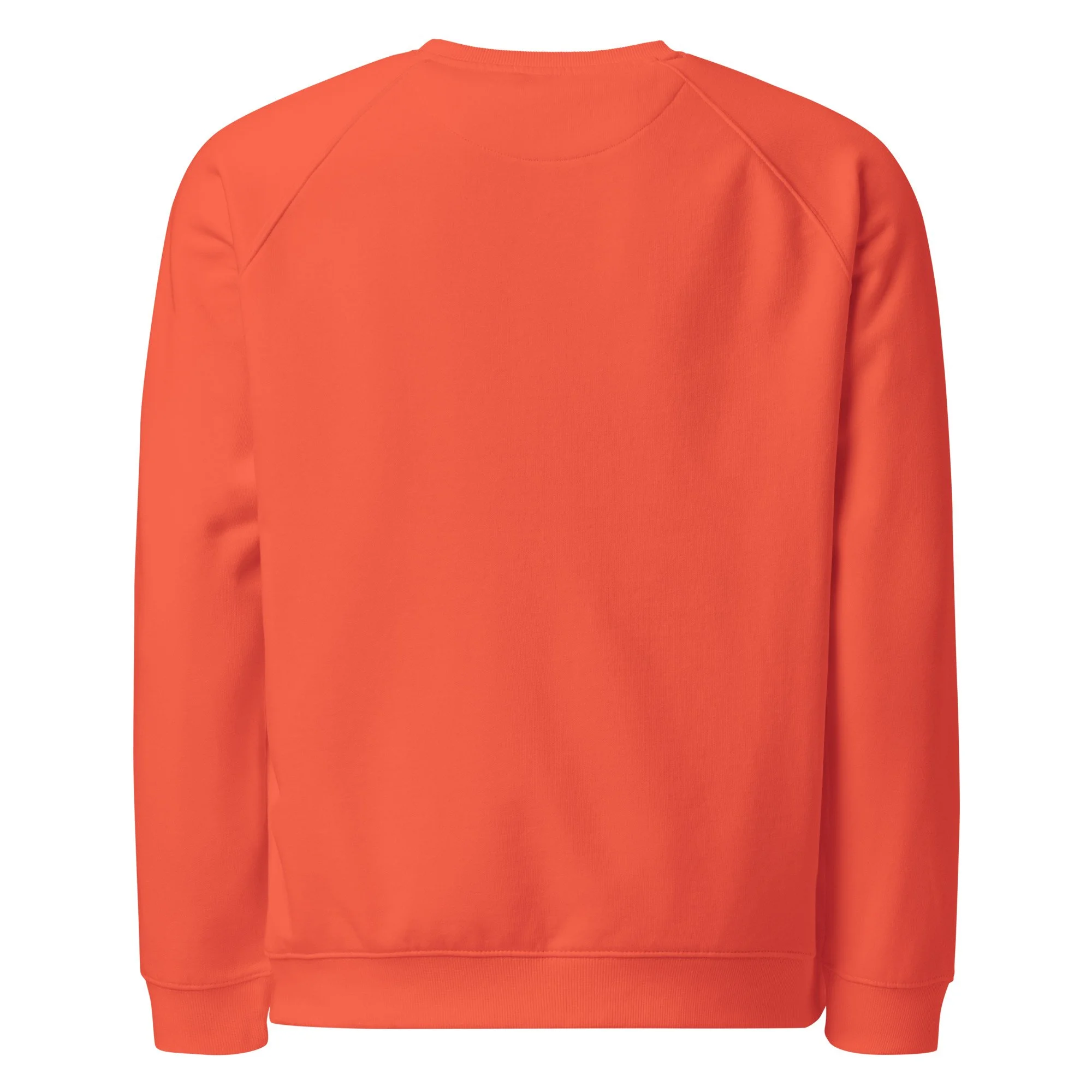unisex-organic-raglan-sweatshirt-burnt-orange-back-69ce543a4f520.jpg