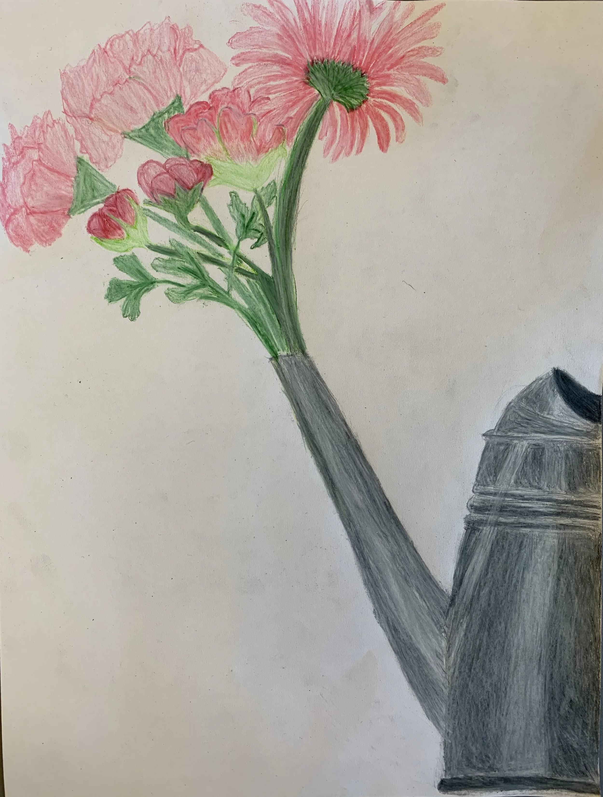 color pencil still life.jpeg