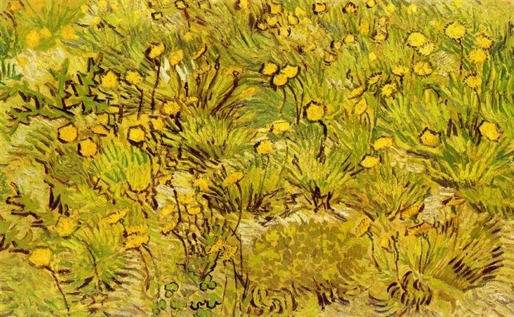 a-field-of-yellow-flowers-1889(1).jpg!Large.jpg
