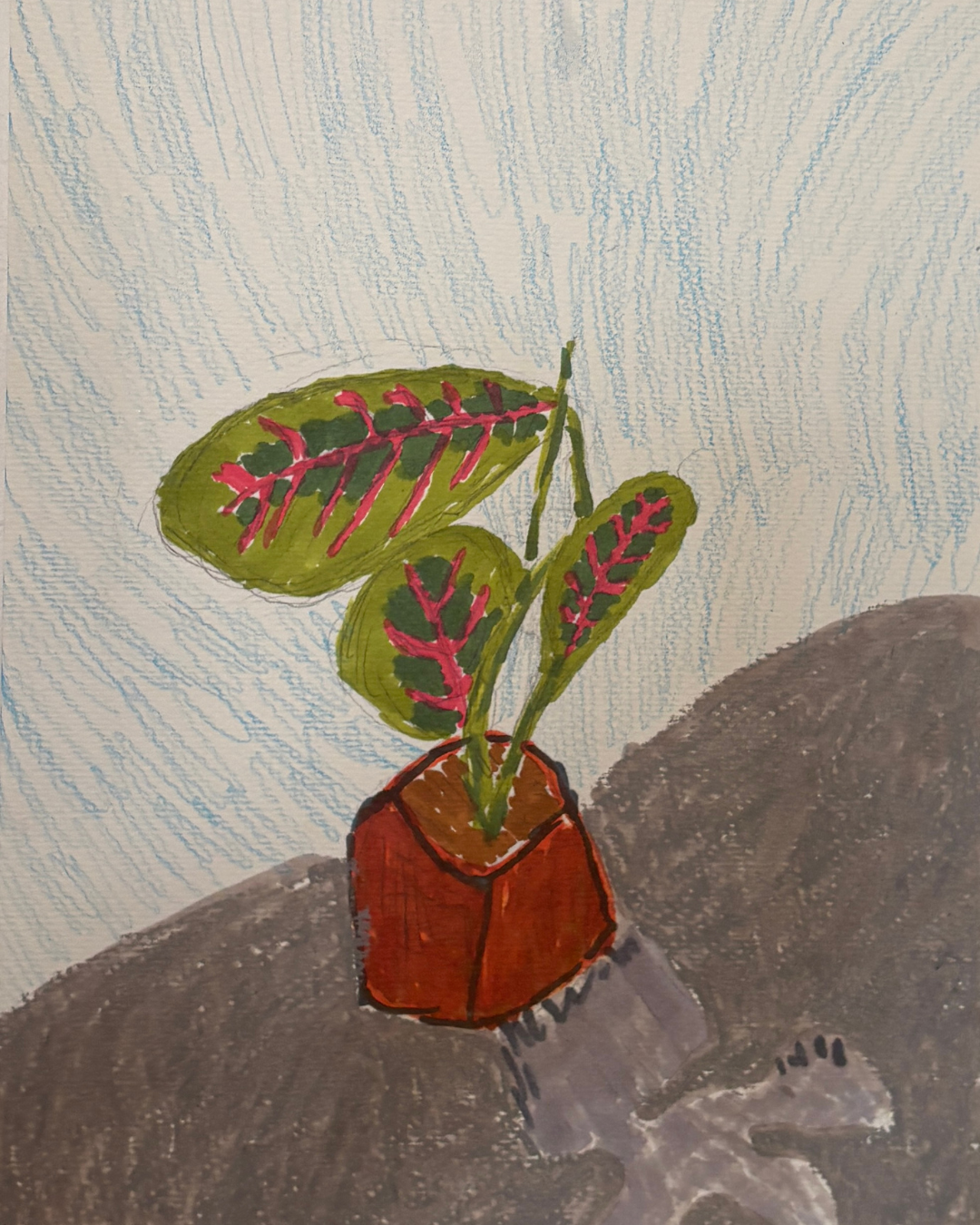 Untitled design - 4.png