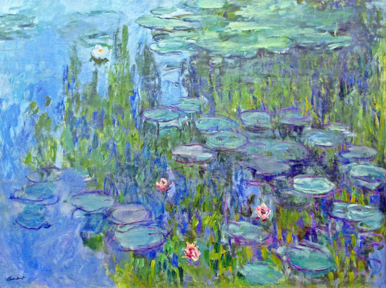water-lilies-38.jpg