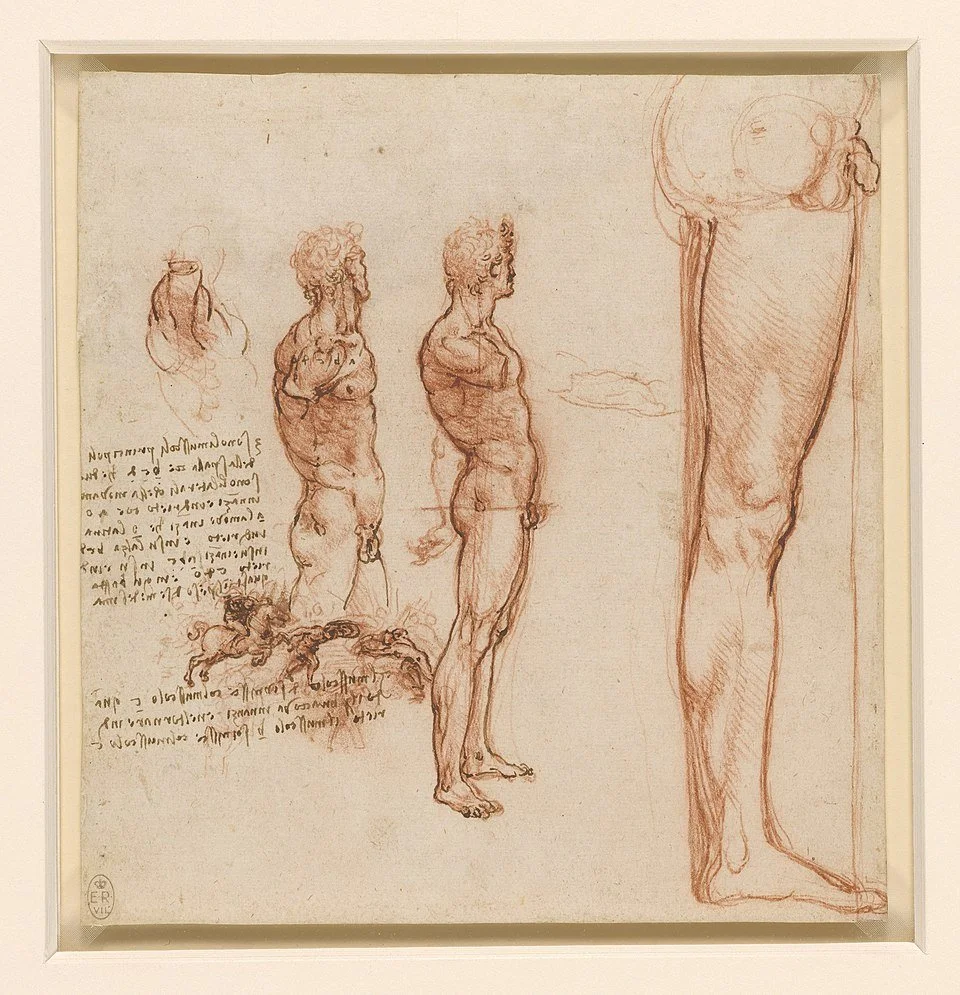 Leonardo_da_Vinci_-_RCIN_912640,_The_muscles_of_the_shoulder,_torso_and_leg,_and_a_skirmish_c.1506-8.jpg
