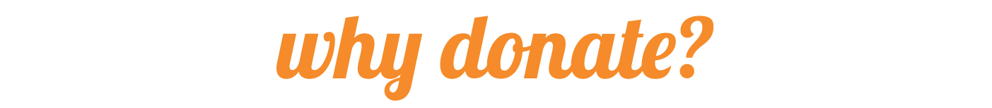 Asset 26.png