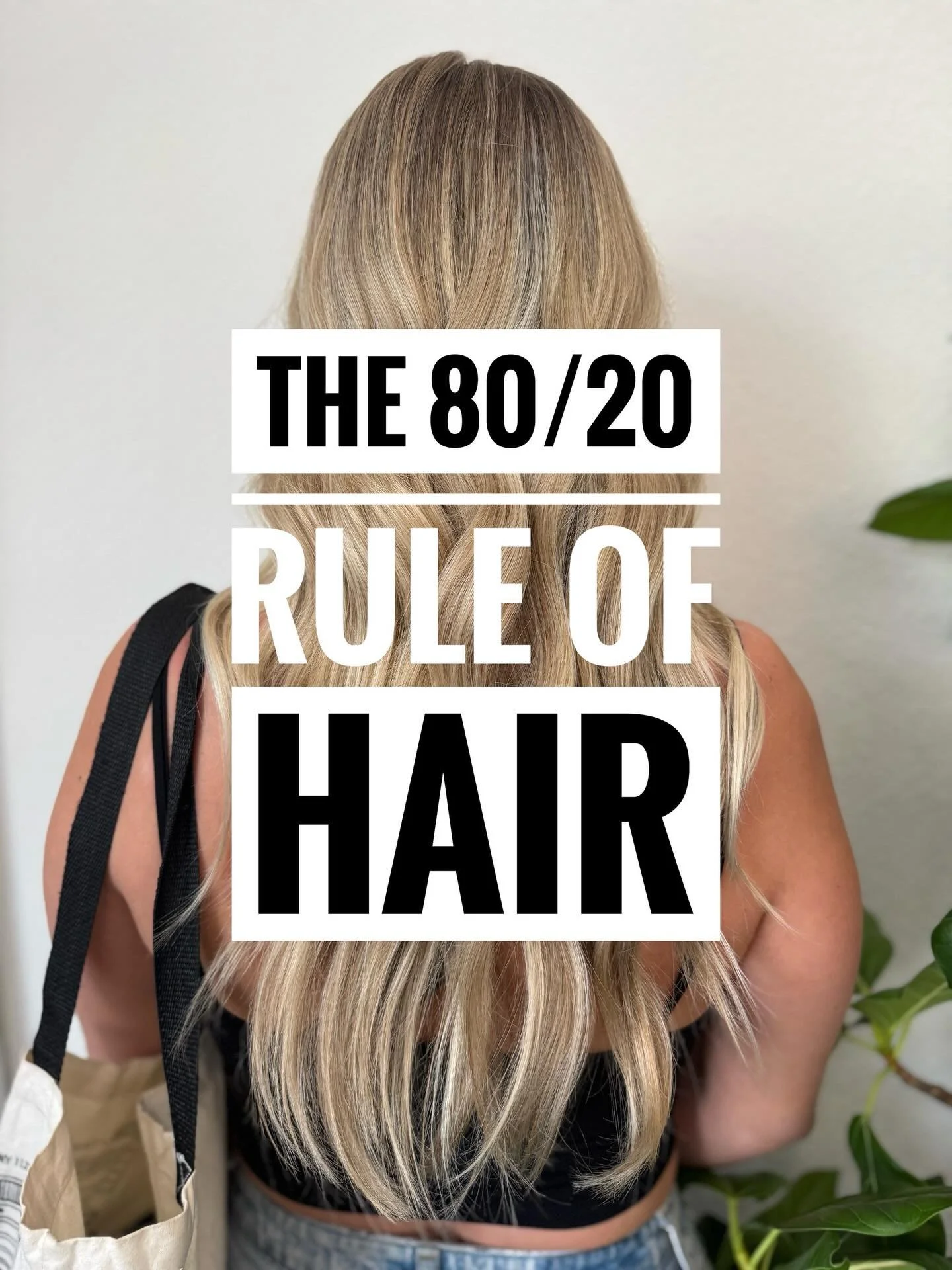 The 80/20 Rule of Hair💫

Your hair routine matters more than your salon appointment.

#haired #salontruths #healthyhairjourney #hairstylisttips #hairtok