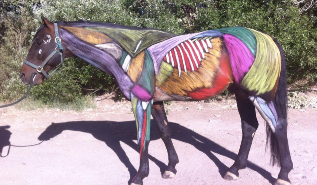 Summer Camp Session 1