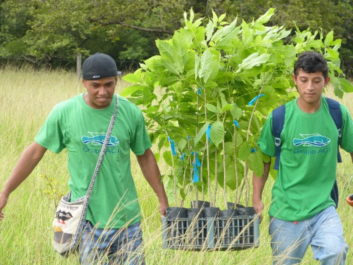 RainforestTilapia.jpg