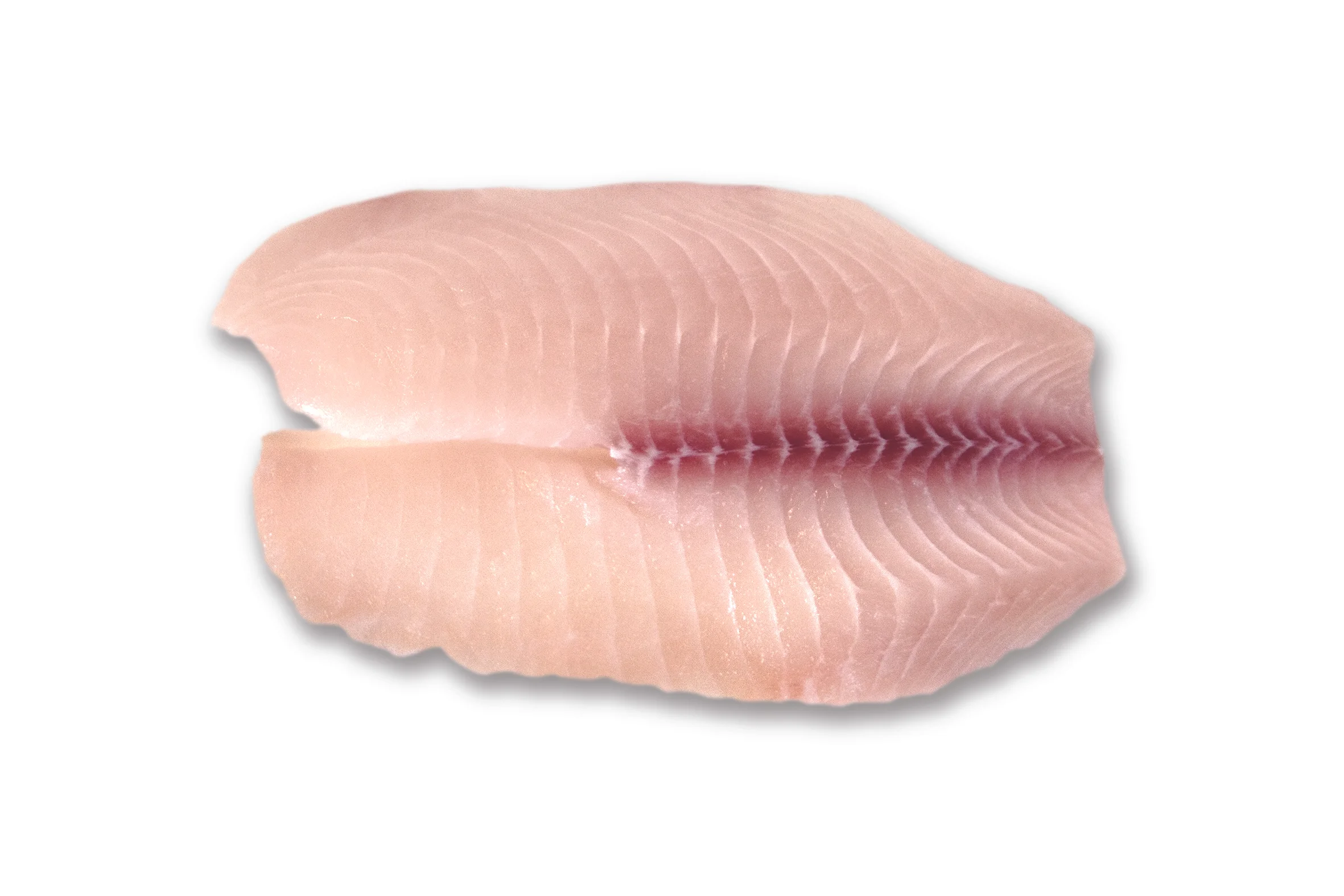 Tilapia Fillets copia.jpg