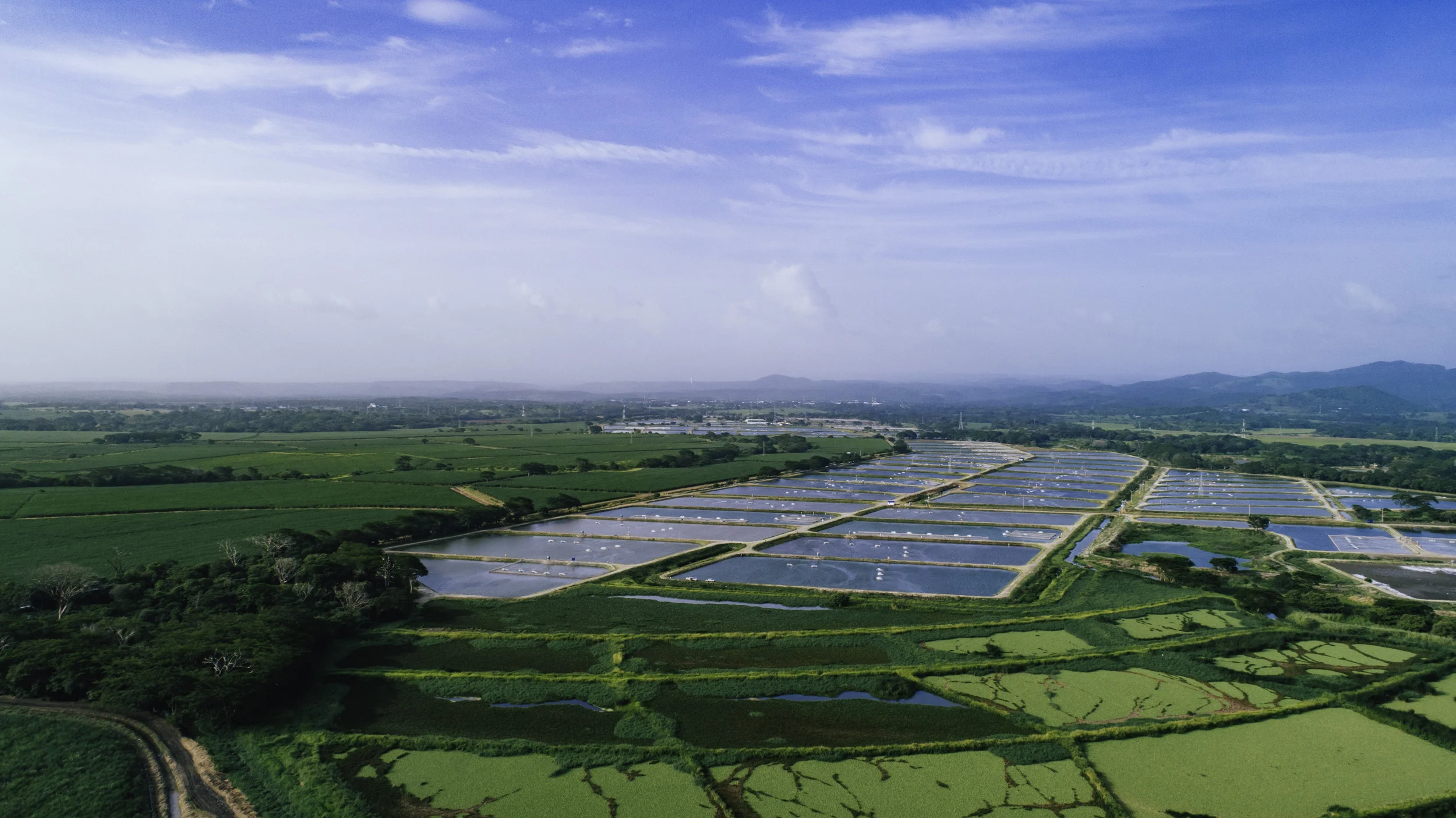 EWP2018_RainforestTilapia-1748.jpg