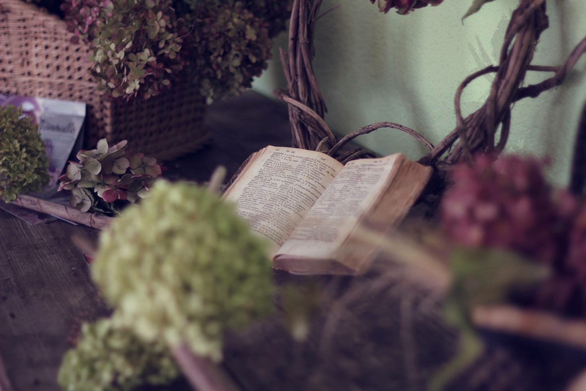 Click HERE to go to the Magick School Facebook group!