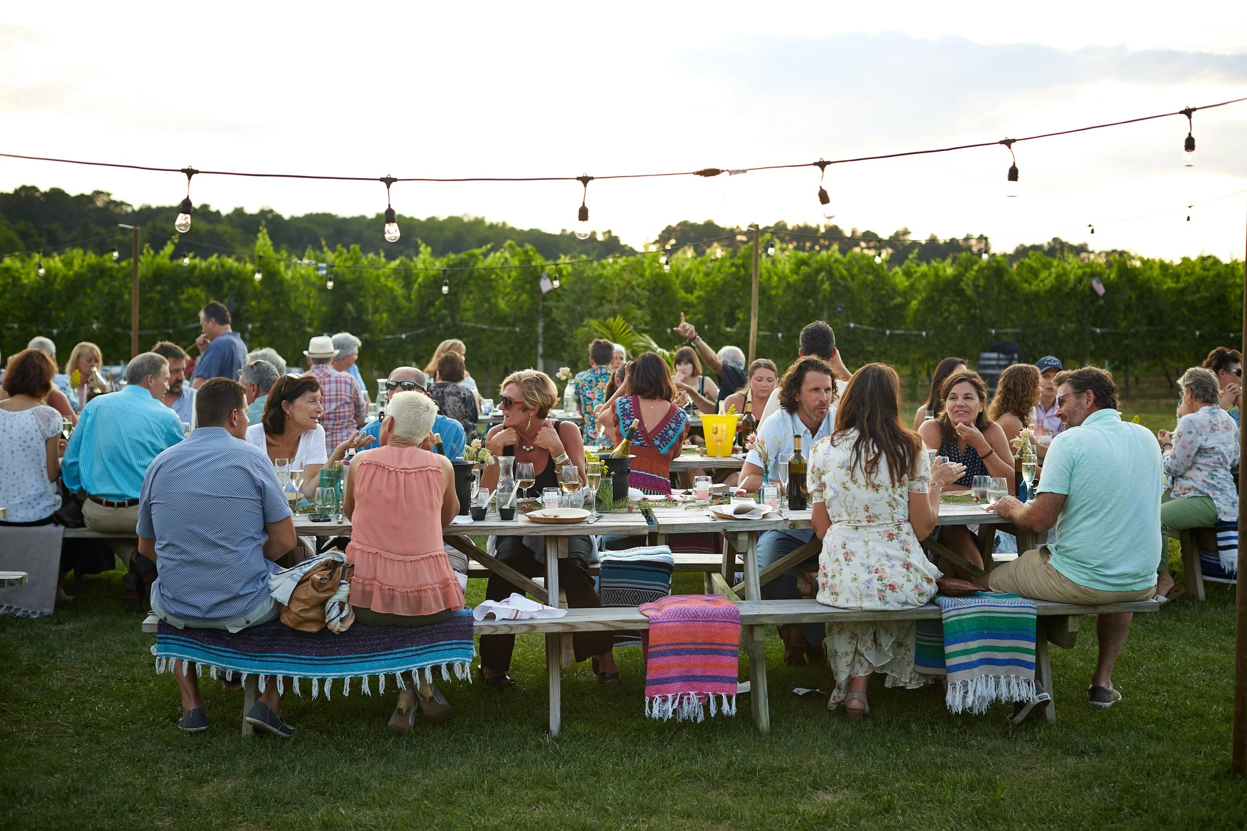 Long picnic tables with guests sharing a meal