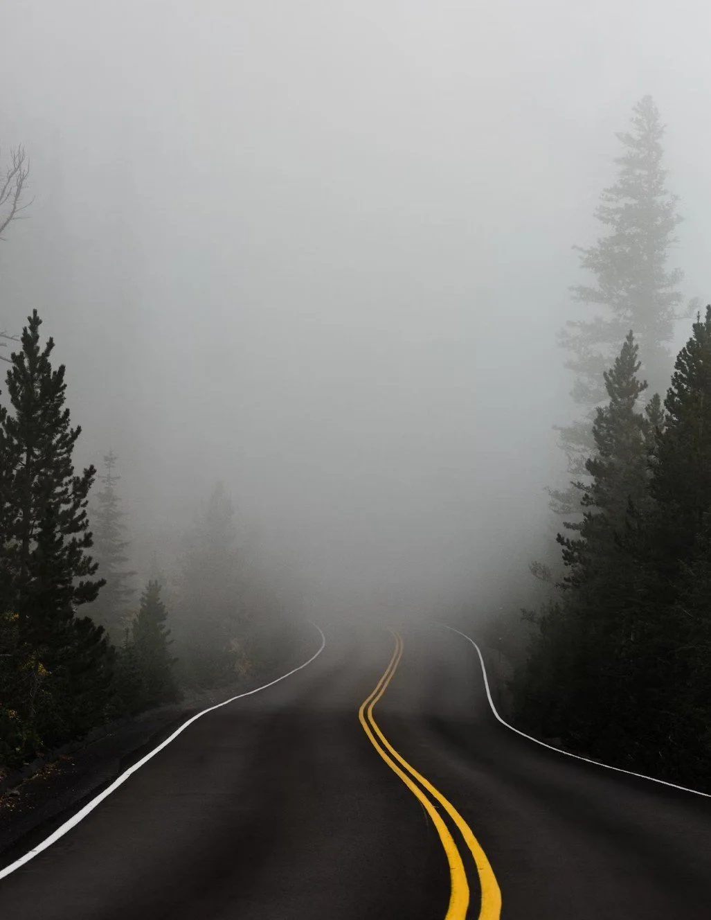 Fog Coating vs. Painting