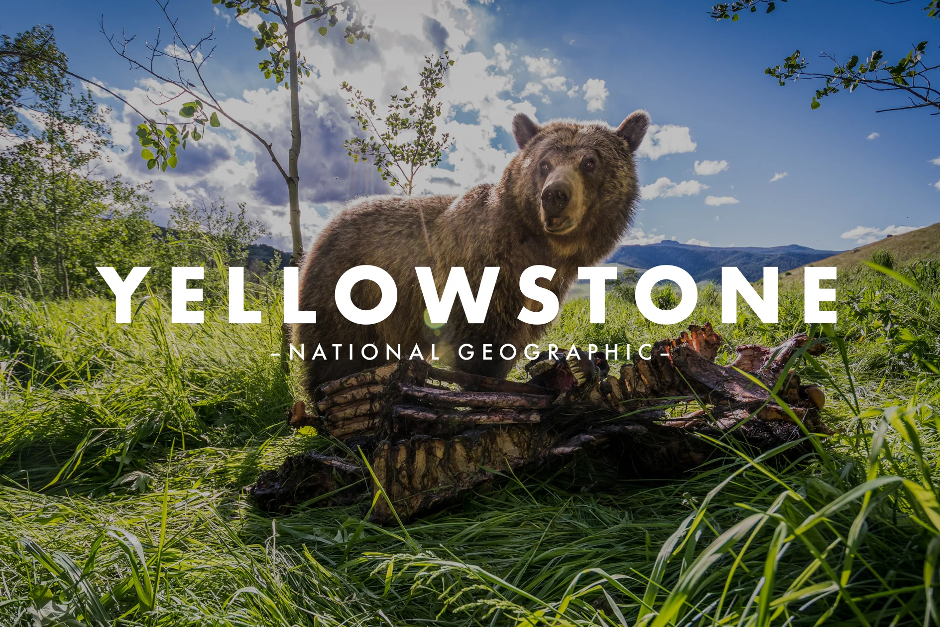 Cory-Richards-YELLOWSTONE.jpg
