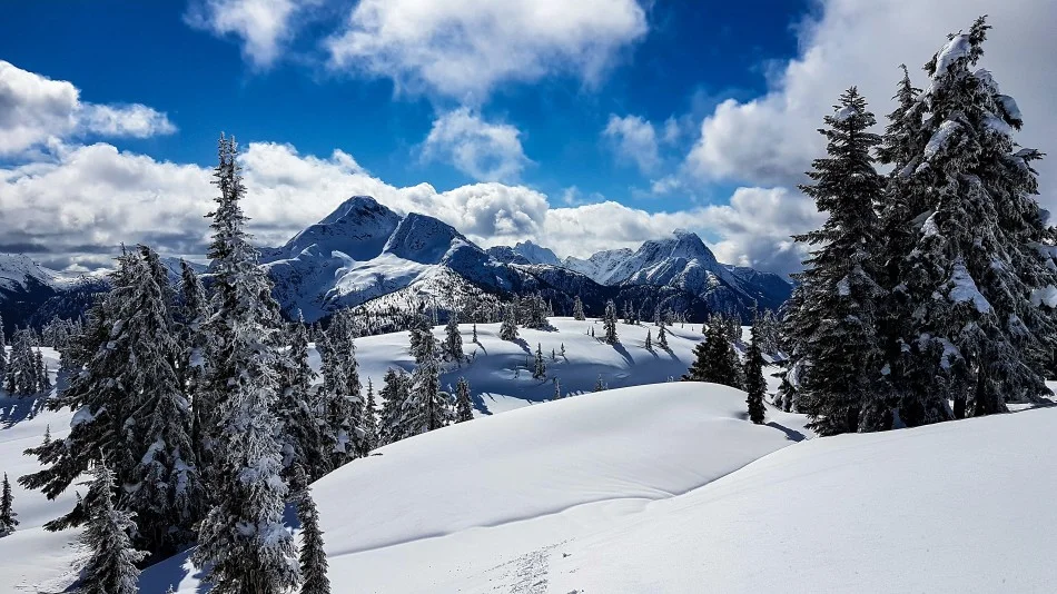 Trio of beauties: King's Peak, Rambler Peak, and Mount Colonel Foster from Crest Mountain. Photo by Roxanne Jensen.