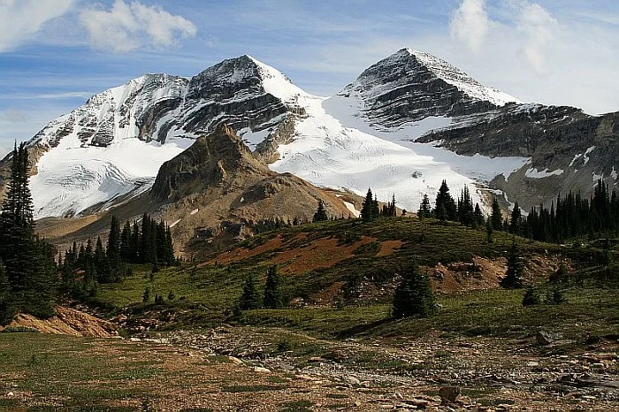 The President and Vice President, Little Yoho Valley.