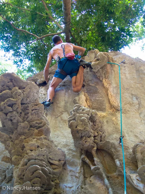 Each route at the Green Climbers Home is an adventure; a journey; a game of Twister.